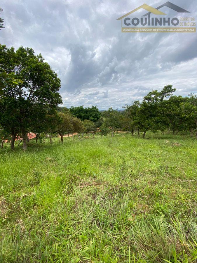 WhatsApp Image 2026-01-29 at 20.11.49 (3).jpeg